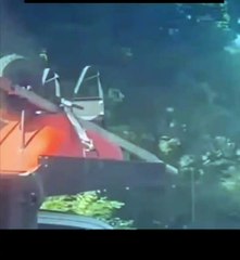 Trollies look like firemen sitting in line