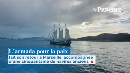 Les ambassadeurs de paix à bord du "Bel Espoir" ont touché terre au J4