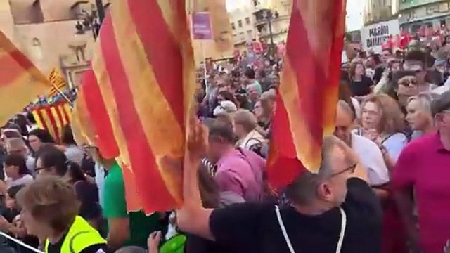 Crits de Mazón Dimissió