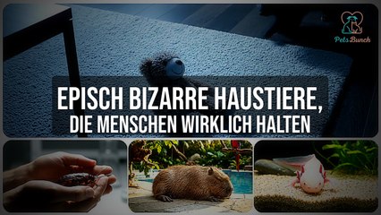 Episch bizarre Haustiere, die Menschen wirklich halten
