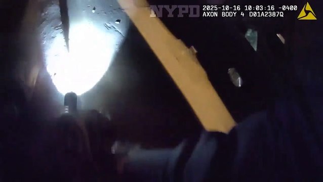 Moose on the loose: Runaway dog pulled from under train tracks at busy New York station