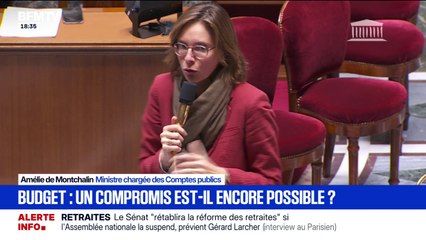 Pour Amélie de Montchalin, ministre chargée des Comptes publics, "prélever l'impôt ce n'est pas racketter les Français"