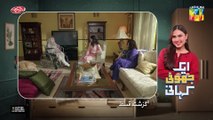 Ek Jhooti Kahani Episode 14 - 25 Oct 25 - SPON by Lifebuoy Shampoo &  Leather Galleria - HUM TV