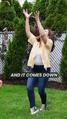 Everything Causes Everything || Acharya Prashant