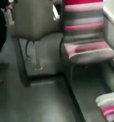 Polícia prende homem suspeito de tentar estruprar brasileira dentro de trem em Paris