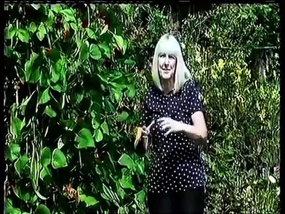 KBV-118 Grow with us Video No 4