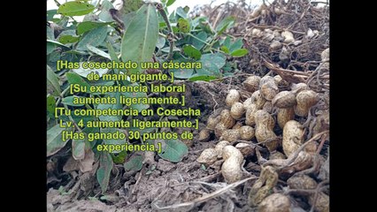 CULTIVANDO EN LA TORRE SOLITARIA NOVELA PARTE 182