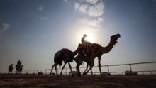 علي الفرهود