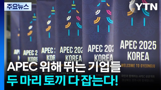 APEC 위해 뛰는 기업들...두 마리 토끼 잡는다 / YTN