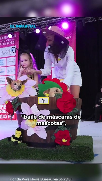 Magia, disfraces y mascotas vestidas de fantasía