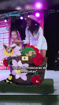 Magia, disfraces y mascotas vestidas de fantasía