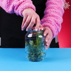 Clever food hacks you wish you knew sooner!