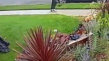 Jogger knocks down Halloween decorations for no apparent reason