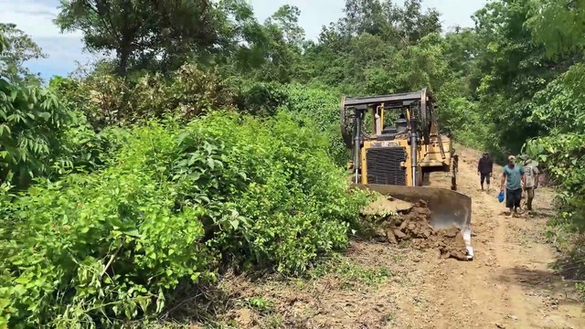 Improving Plantation Road Quality with D6R XL Bulldozer in the Plantation