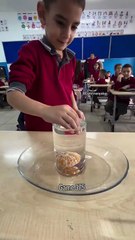 Kids playing interesting game in school