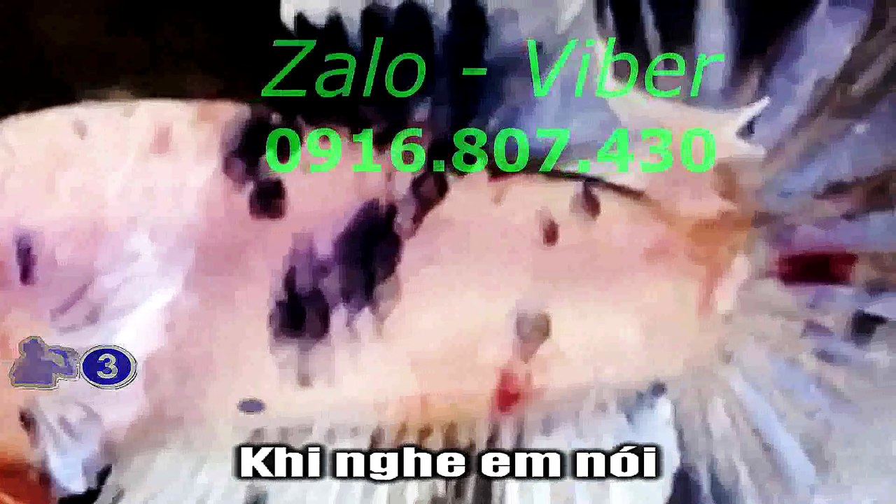 Mux251019163324
