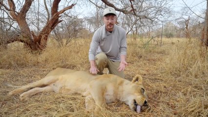 “I SAVED 1,000 ANIMALS FROM DYING 🐘💔 (It Changed My Life Forever 😭🔥)”