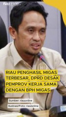 Riau Penghasil Migas Terbesar, DPRD Desak Pemprov Kerja Sama dengan BPH Migas