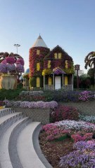 beautiful view of miracle Garden in Dubai