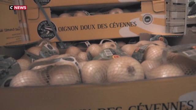 L'Oignon doux joyau des Cévennes depuis le Moyen-Âge