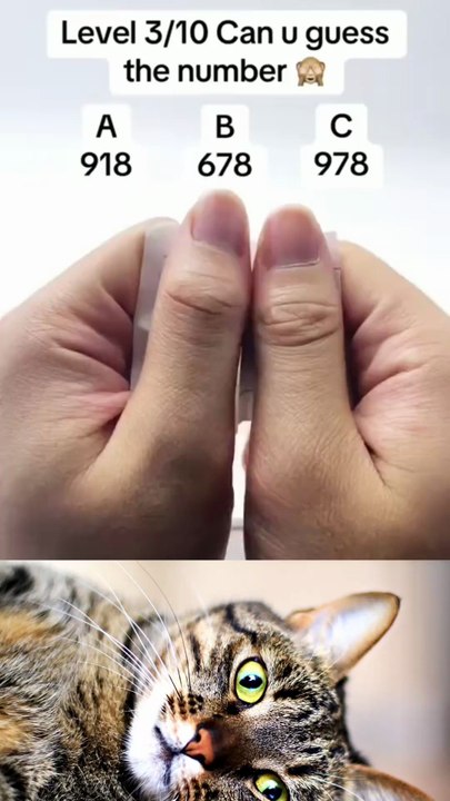 Funny memes