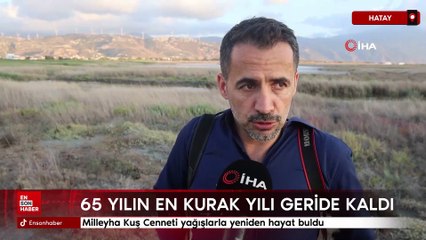 Milleyha Kuş Cenneti yağışlarla yeniden hayat buldu