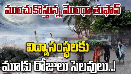 Montha Cyclone: విద్యాసంస్థలకు మూడు రోజులు సెలవులు ప్రకటించిన ప్రభుత్వం..! | Oneindia Telugu