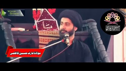 Rishta Dekhnay Jao To Larki Ky Pair Ki Trf Notice Karna..!! Maulana Arif Hussain Kazmi