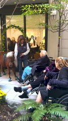 Mini therapy horses lift spirits at an Upper East Side assisted living facility