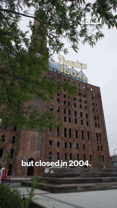 NYN DOMINO REFINERY V07
