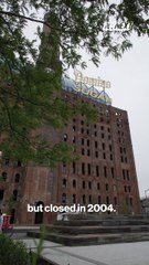 NYN DOMINO REFINERY V07