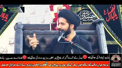 Insan Nafs Ka Ghulam Mat Ban..!! Maulana Arif Hussain Kazmi