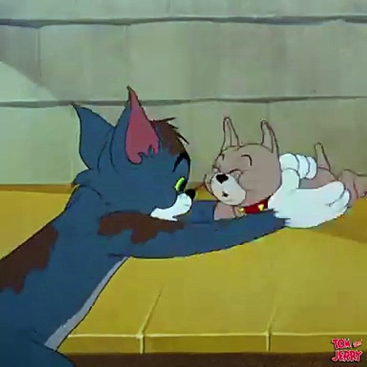 Cartoon and movie and song