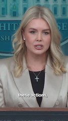 Leavitt touts Trump-directed strikes on Venezuelan cartel boats to 'end the drug epidemic'