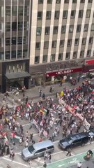 Massive crowd of Pro-Palestine activists march down 6th Ave amid Netanyahu's visit to UN