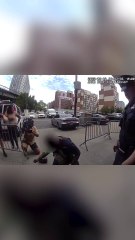 NYPD reunite stolen dog with owner after being taken on the subway