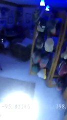 Bodycam footage shows arrest of Minnesota senator, Nicole Mitchell, after breaking into 'paranoid' stepmom's home