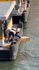 Protesters send Jeff Bezos mannequin down Venice canal