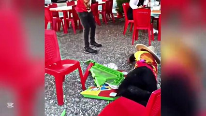 Funniest videos ever in  the world 😂 get ready to laugh, part 2