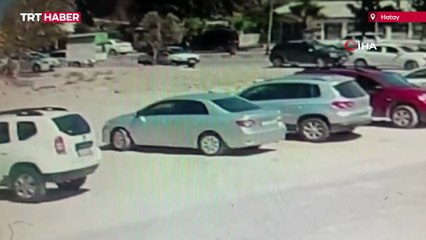 Hatay'da başıboş köpekler korku saçıyor