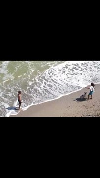 Clip Musical Officiel 🎧 Vibe d'Été, Amour et Chien sur la Plage Musique Chill & Joyeuse (SooChrys)