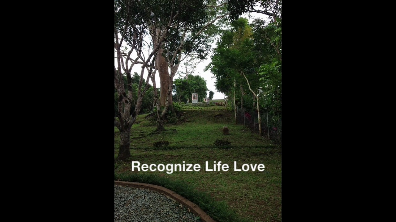 Recognize Life Love