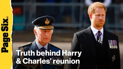 Prince Harry reunion with King Charles was not 'Treaty of Versailles'