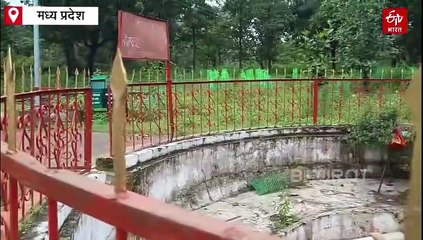 बेतवा के उद्गम स्थल पर ही उखड़ रही सांसे, रिवाइवल प्रोजेक्ट की रफ्तार पड़ी ढीली