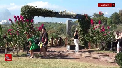 Türkiye kışı yaşarken Antalya'da yazdan kalma günler