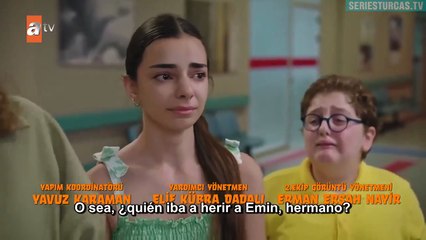 Aile Saadeti Capítulo 13 Final (en Español)