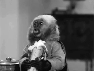 Las aventuras de Superman 1x05-El misterio del mono-HD