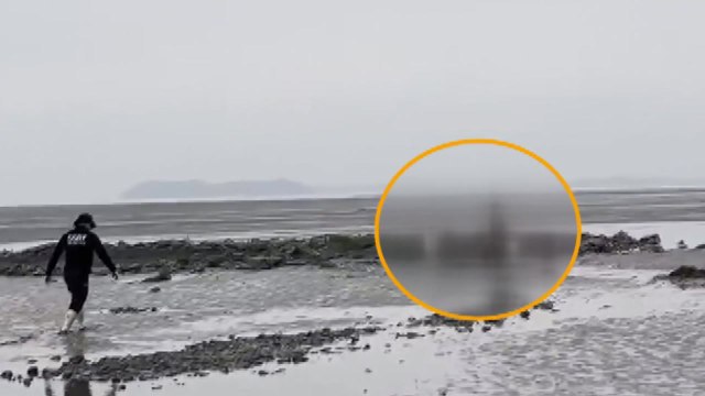 대천항 인근 갯벌에 고립된 일가족 3명 구조 / YTN