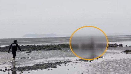 대천항 인근 갯벌에 고립된 일가족 3명 구조 / YTN