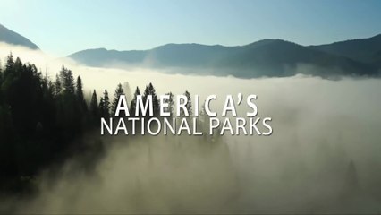 Documental - Parques nacionales de Estados Unidos - Montañas Humeantes - 🌲 "MONTAÑAS HUMEANTES: El Bosque Encantado Donde la Niebla Oculta la Vida Salvaje"
